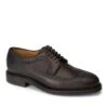 Waxy Brogue Shoe 2 Waxy Brogue Shoe -Best Fashion Shoes Shop TA13451DKBROWN
