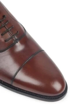 Men’s Leather Dress Shoes -Best Fashion Shoes Shop TA13455CHESTNUT 1
