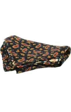 Printed Small Paisley Hankie
