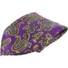 Twill Printed Paisley Hankie -Best Fashion Shoes Shop TI02217PURPLE