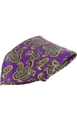 Twill Printed Paisley Hankie