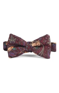 Paisley Duck Silk Bow Tie