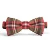 Men's Plaid Bow Tie -Best Fashion Shoes Shop TL23566ROYALSTEWARTWTHRD